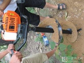 国产种树机视频