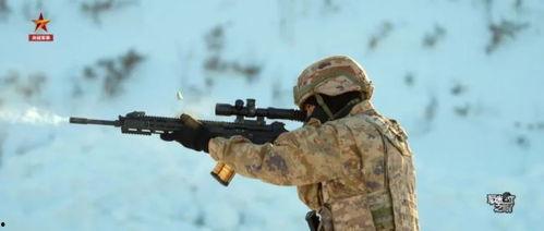 国产精准步枪大全视频讲解,揭秘我国步枪发展历程与尖端技术