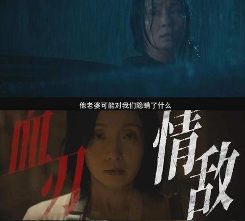 国产悬疑片视频网站