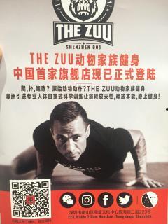 国产老黑在线视频,揭秘网络视频背后的黑色产业链