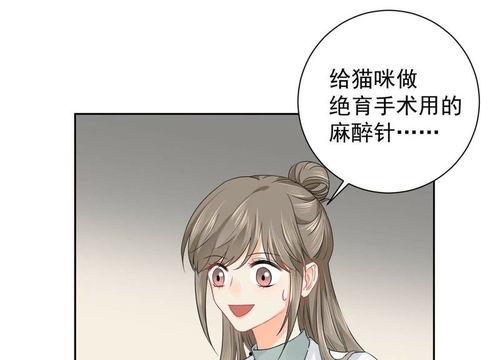 动漫抽针视频在线观看国产,抽针技艺动画视频，带你领略传统技艺魅力