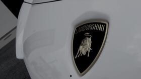 拼国产兰博基尼视频,速度与激情的国产传奇