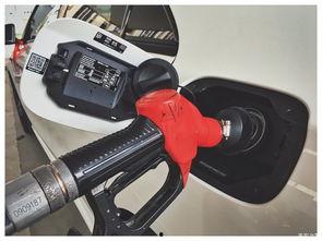 国产电磨车视频讲解大全,操作技巧与使用攻略解析