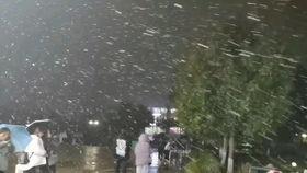 国产瞎搞视频,笑料百出，创意无限