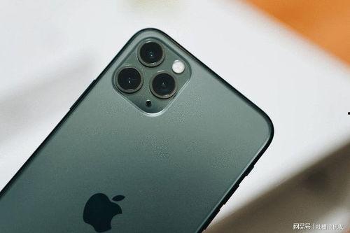 苹果和国产机拍视频,视频拍摄体验大对比