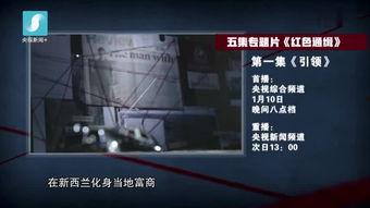 国产一级红色大片视频,国产红色经典巨献