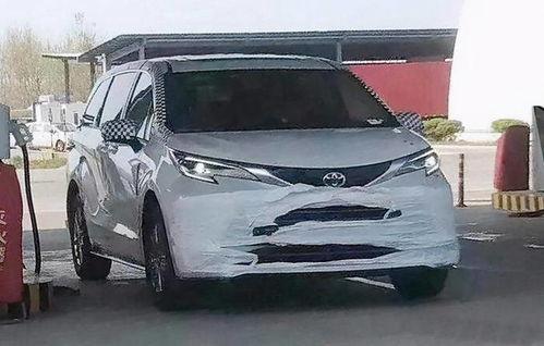 国产塞纳街头视频